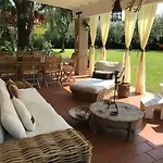 Oliveto