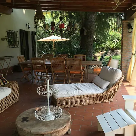 Oliveto Villa